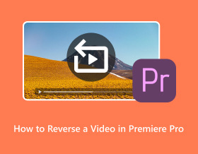How to Reverse A Video In Premiere Pro