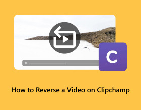 How to Reverse A Video On Clipchamp