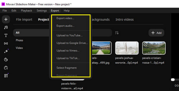Movavi Export Options