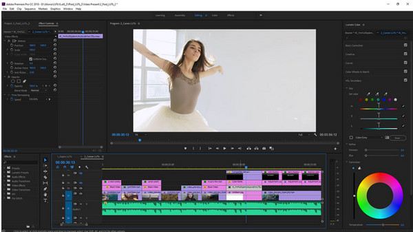 Software de edición de vídeo de Microsoft Premiere Pro