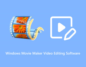 Windows Movie Maker Video Editing Software