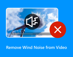 Remove Wind Noise from Video