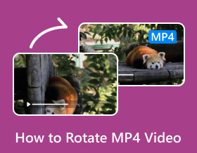 如何旋轉 MP4 視頻