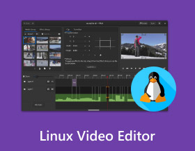 Linux 影片編輯器 S