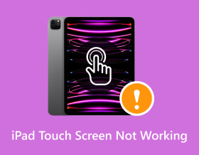 iPad Touch Screen Not Working