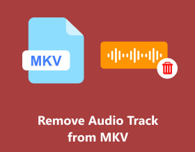 从 MKV 中删除音轨