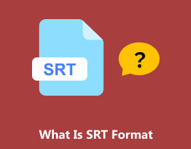 srt格式是什麼