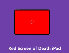 Ecranul Roșu al Morții pentru iPad