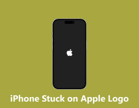 iPhone 卡在蘋果標誌介面