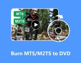 將 MTS/M2TS 燒錄到 DVD
